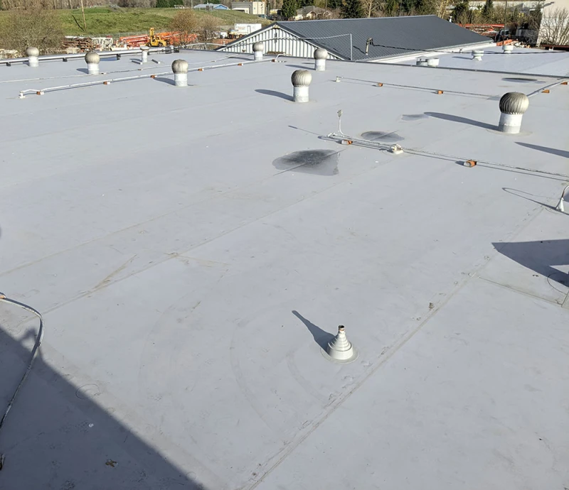 North-Portland-AMW-7